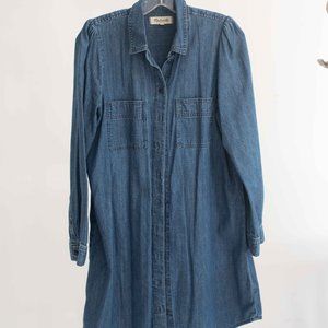 Madewell Demin Dress